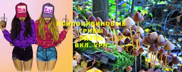 спиды Верея