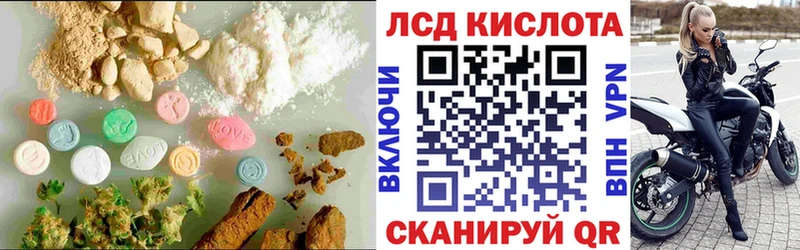 продажа наркотиков  shop Telegram  Лсд 25 экстази ecstasy  Партизанск  блэк спрут как войти 